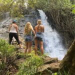 Kauai East Side and North Shore: Waterfalls & Beaches Tour - What Makes This Tour Stand Out?