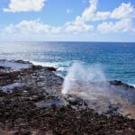 Kauai Full Day Tour with Cruise ships or Kauai Airport Pickup - What You’ll Love About This Tour
