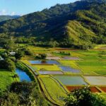 Kauai: Highlights & Movie Sites - Lunch and Chocolate Tasting: A Relaxing Break