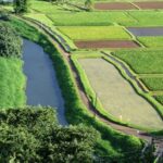 Kauai Northeast Tour, Fern Grotto River Cruise & Lighthouse - Who Is This Tour Best For?