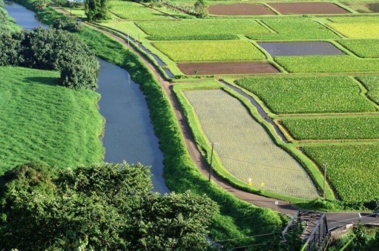 Kauai Northeast Tour, Fern Grotto River Cruise & Lighthouse - Who Is This Tour Best For?