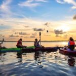 Kayak Activity in Nichupte Lagoon opt. Roundtrip transportation - What You Can Expect from the Kayak Tour