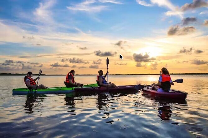 Kayak Activity in Nichupte Lagoon opt. Roundtrip transportation - What You Can Expect from the Kayak Tour