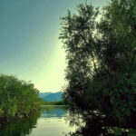 Kayak Adventure: Paddle your way through Lake Skadar - A Detailed Look at the Kayak Tour on Lake Skadar