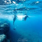 Kayak and Snorkeling Tour in the Bergeggi Island MPA - What We Think About the Tour’s Value