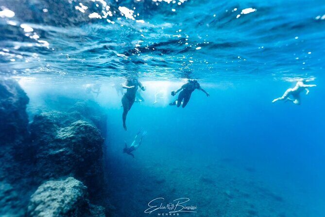 Kayak and Snorkeling Tour in the Bergeggi Island MPA - What We Think About the Tour’s Value