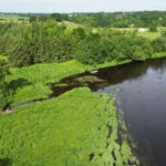 Kayak at the Latvian-Lithuanian border, biggest inland dune - The Itinerary Breakdown