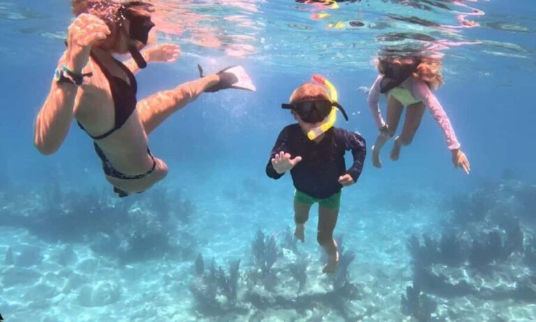 Kayak + Guided Snorkel & Morning Sail - The Itinerary: What to Expect During Your Day