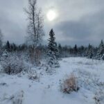 Kayak Trips on Lake Superior, Two Harbors, MN (Grand Superior) - Who Should Consider This Tour?