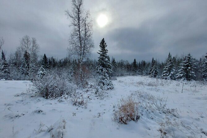 Kayak Trips on Lake Superior, Two Harbors, MN (Grand Superior) - Who Should Consider This Tour?