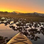 Kayaking adventure through the Xochimilco and Frida Kahlo Canals - San Angel: A Neighborhood Filled with Charm