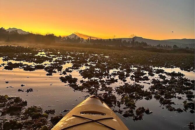 Kayaking adventure through the Xochimilco and Frida Kahlo Canals - San Angel: A Neighborhood Filled with Charm  