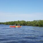 Kayaking Backwaters of New Smyrna Beach Ecotour/Birdwatching - Who Should Consider This Tour?