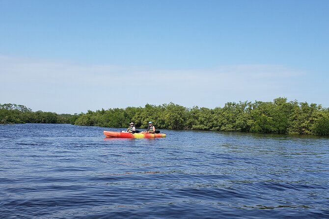 Kayaking Backwaters of New Smyrna Beach Ecotour/Birdwatching - Who Should Consider This Tour?