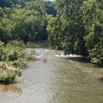 Kayaking on the Roanoke River - Is This Tour Worth It?