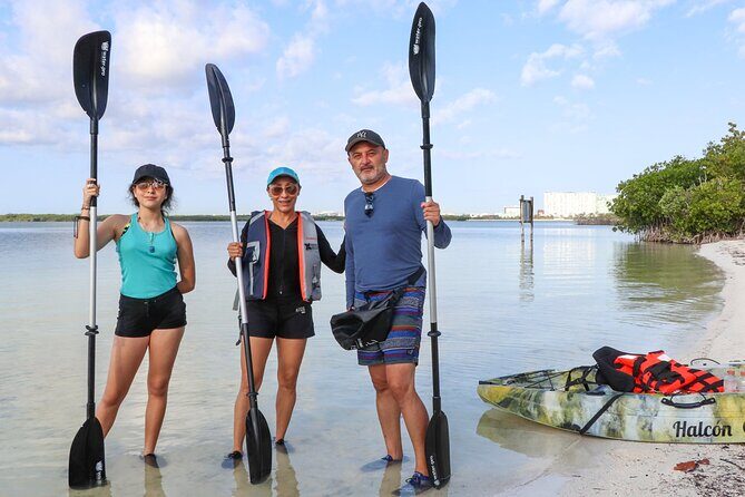 Kayaks at the Mangroves Lagoon Ecosystem from Cancun - What to Expect During the Tour