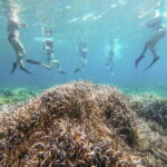 Kayak&Snorkel Tour - The Secret of the Posidonia - Who Will Love This Tour?