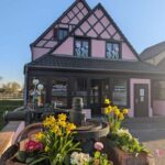 Kaysersberg Vineyard Discovery of the vineyard and wine, Domaine Meyer-Krumb - The Value of This Experience