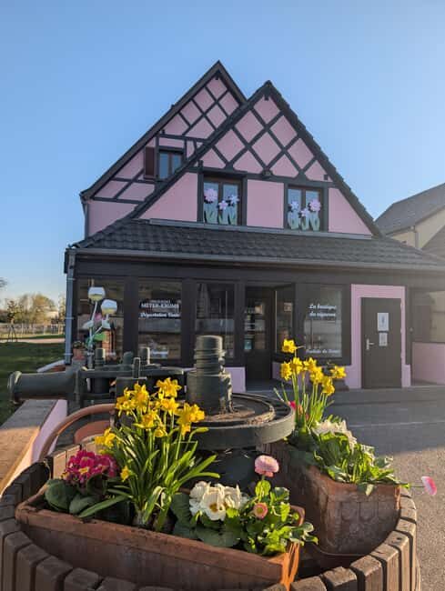 Kaysersberg Vineyard Discovery of the vineyard and wine, Domaine Meyer-Krumb - The Value of This Experience