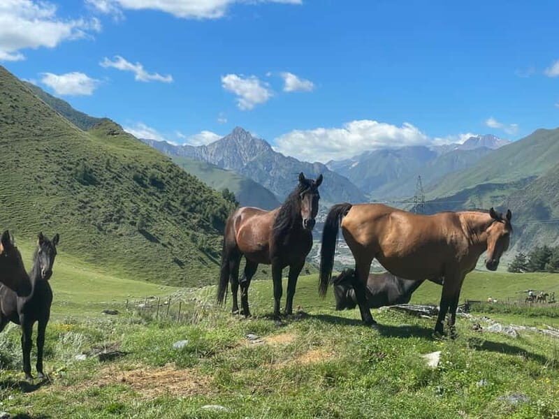 Kazbegi:Sunset Horse Riding Tour from Rooms Hotel Kazbegi - Why This Tour Is a Great Value