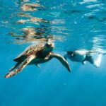 Kealakekua Bay Dolphin Watching, Snorkeling Boat Tour, BBQ - Pricing & Overall Value