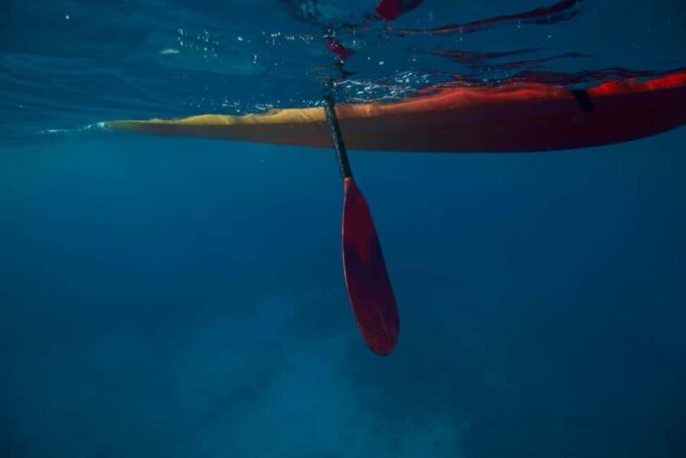 Kealakekua Bay: Guided Kayak & Snorkel Adventure - Authentic Experiences and Insights from Reviews