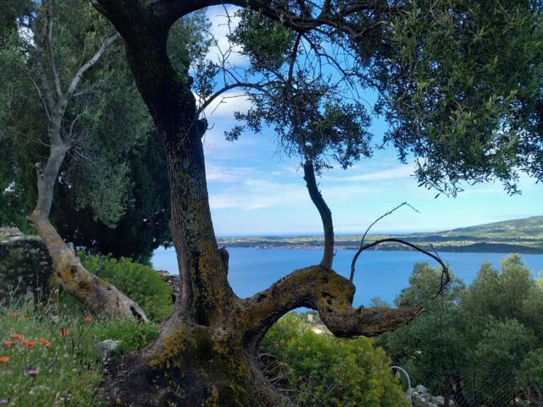 Kefalonia: Old Farsa Village Morning Walking Tour - Final Thoughts