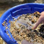 Kelowna: Okanagan Gold Panning Experience at Scenic Canyon - The Itinerary: What Does the Tour Cover?
