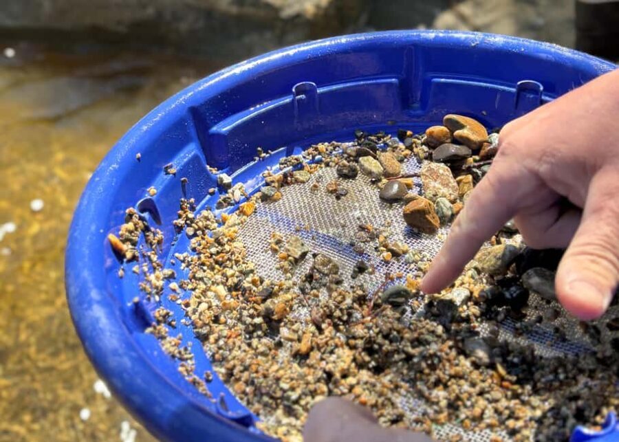 Kelowna: Okanagan Gold Panning Experience at Scenic Canyon - The Itinerary: What Does the Tour Cover?