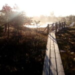 Kemeri National Park Bog Trail near Riga - What is the Kemeri National Park Bog Trail?