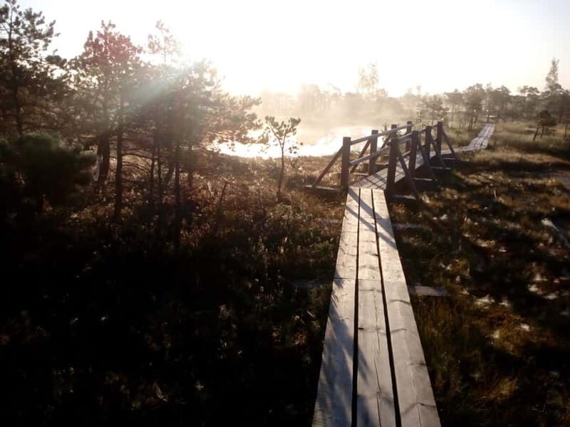 Kemeri National Park Bog Trail near Riga - What is the Kemeri National Park Bog Trail?