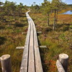 Kemeri National Park Guided Tour - Is It Worth the Cost?