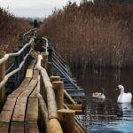 Kemeri National Park Outdoor Tour - Practical Details & What You Should Know