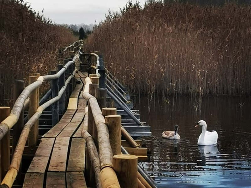 Kemeri National Park Outdoor Tour - Practical Details & What You Should Know