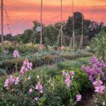 Kennett Square: Longwood Gardens Admission Ticket - Who Will Love Longwood Gardens?
