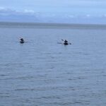 Keogh River Bear Kayaking Tour - What Makes This Tour Special?