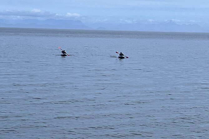 Keogh River Bear Kayaking Tour - What Makes This Tour Special?