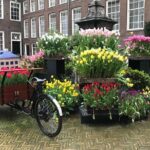 Keukenhof Private Floral Tour from Amsterdam - The Sum Up