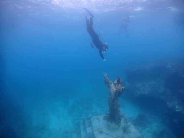 Key Largo: 2-Tank Shallow Reef Dive with Guide & Photos - The Experience Day