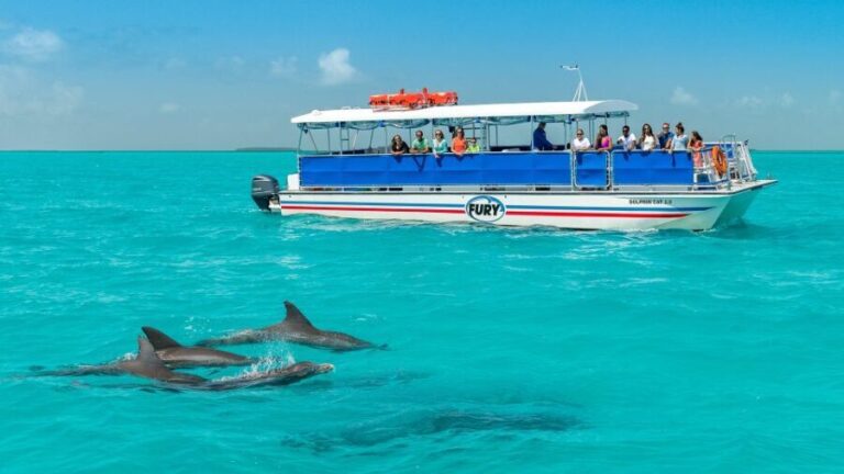 Key West: Dolphin Watching and Snorkeling Eco Cruise Tour - Who Should Consider This Tour?