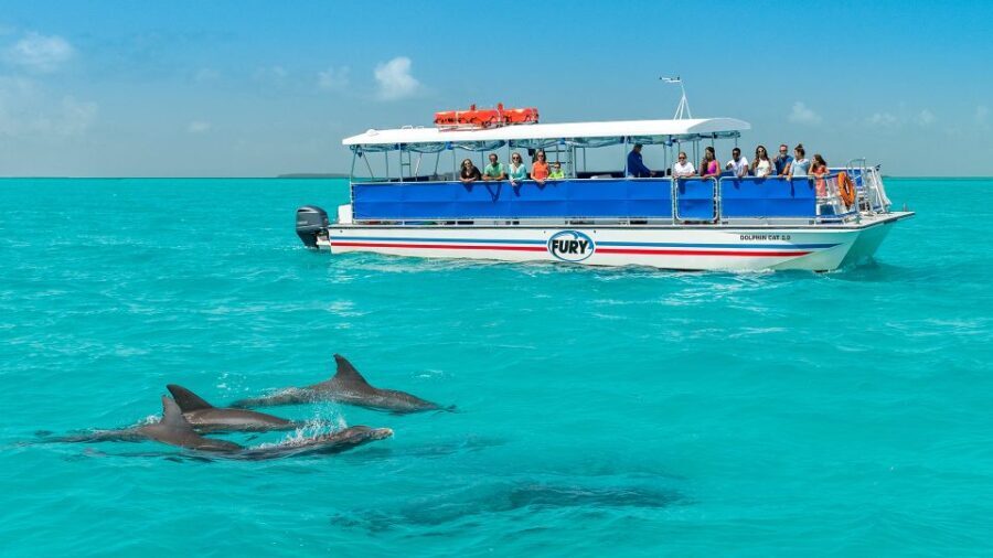 Key West: Dolphin Watching and Snorkeling Eco Cruise Tour - Who Should Consider This Tour?