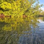 Key West: Kayak or Paddleboard Rental - Good To Know