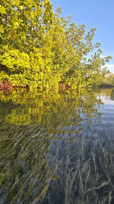 Key West: Kayak or Paddleboard Rental - Good To Know