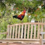 Key West Odyssey: Uncover Island Secrets, Walk by Locals - Practical Details and What You Can Expect