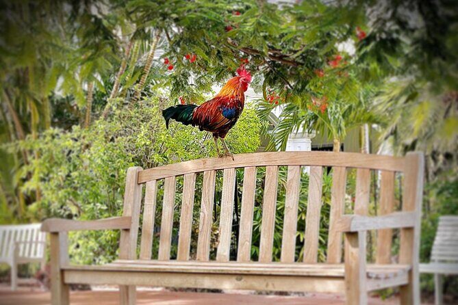 Key West Odyssey: Uncover Island Secrets, Walk by Locals - Practical Details and What You Can Expect