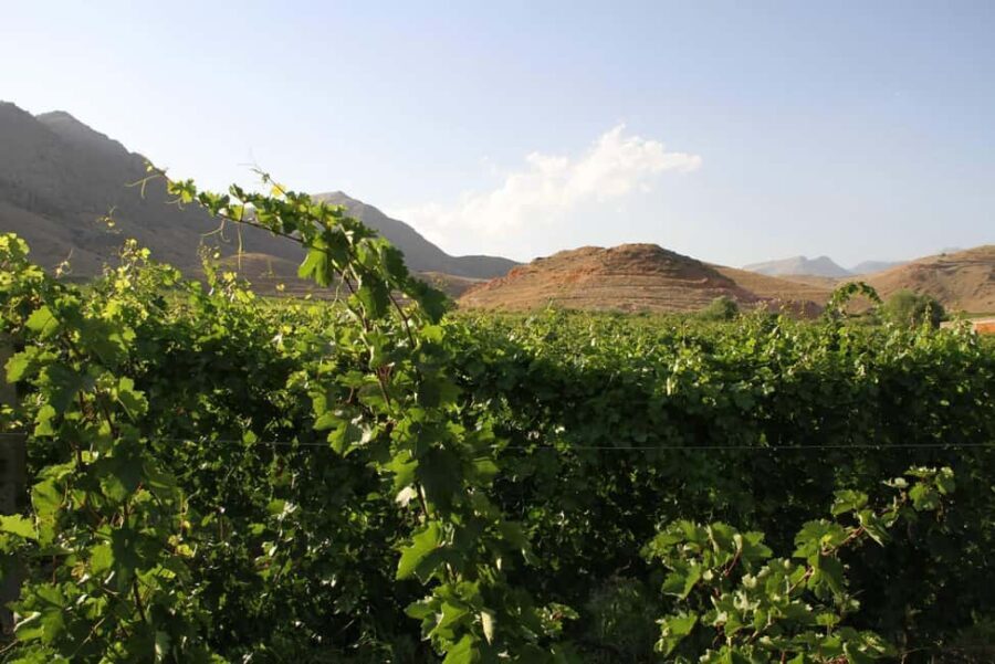 Khor Virap and Noravank Monasteries Tour - The Scenic Drive and Stop at a Winery