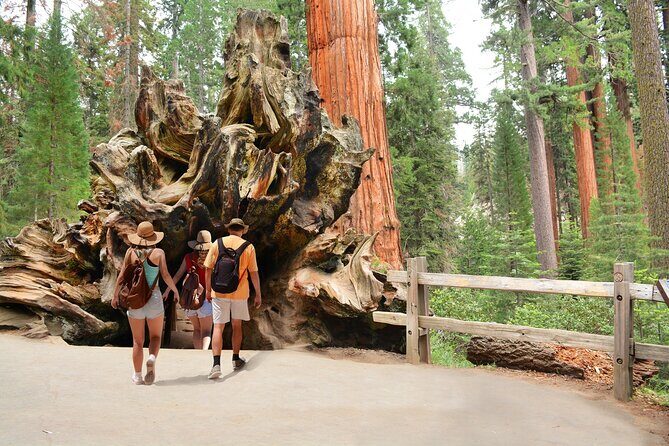 Kings Canyon National Park Self-Guided Audio Tour - Big Stump Picnic Area