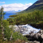 Kiruna: Abisko National Park Guided Day Tour with Lunch - Practical Details and What to Expect