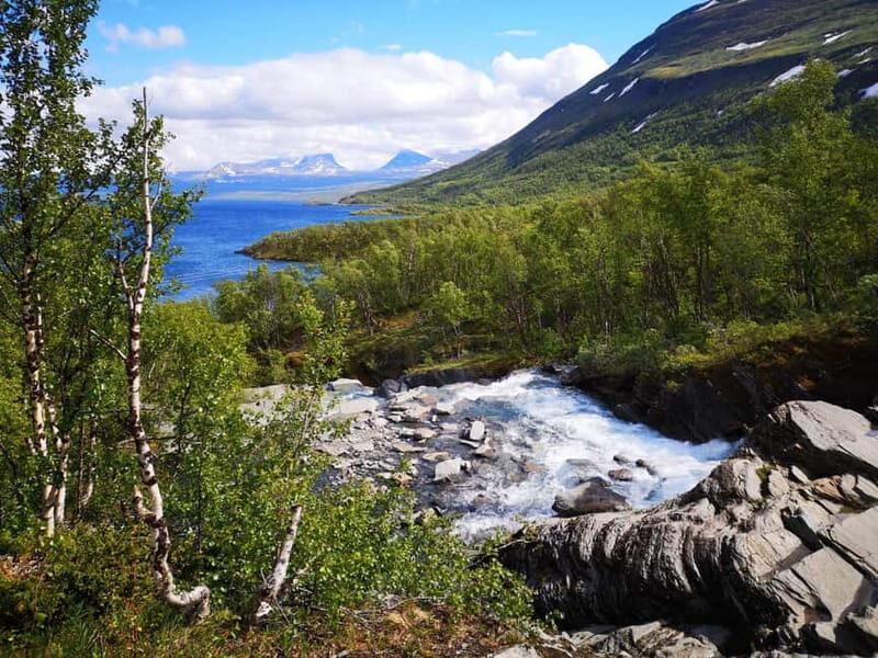 Kiruna: Abisko National Park Guided Day Tour with Lunch - Practical Details and What to Expect