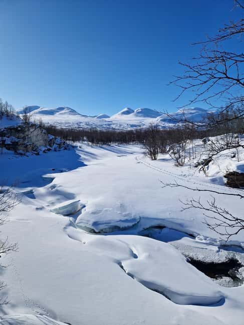 Kiruna: Abisko National Park Snowshoe Hike with Lunch - The Outdoor Lunch Experience